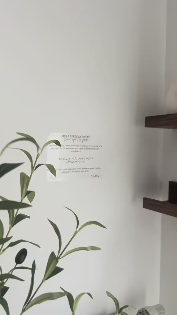 Charger la vidéo : 